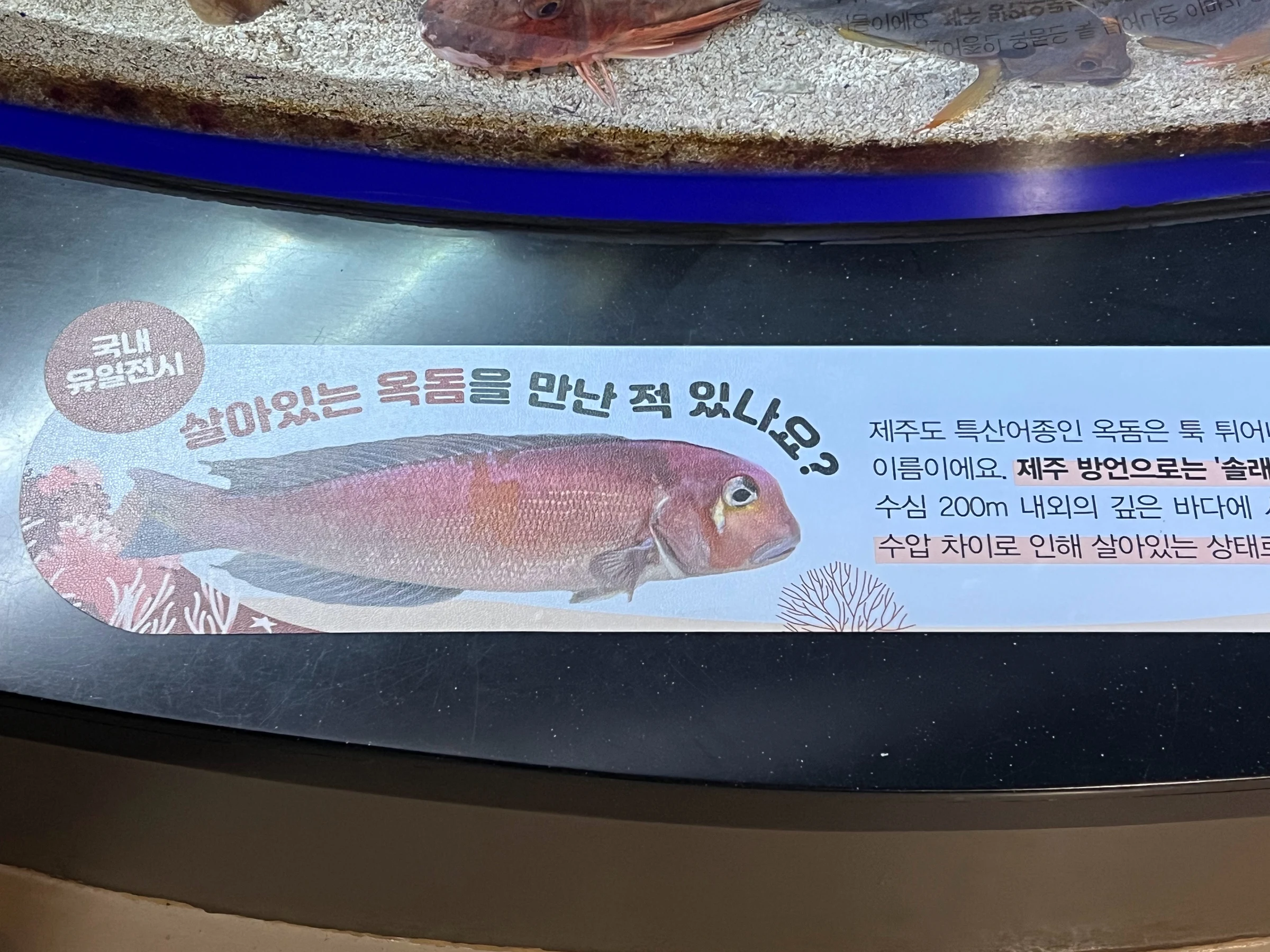저녁 메뉴